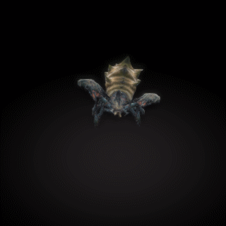12.gif
